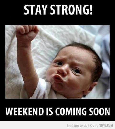 tumblr_m4cp9ujxM11r1n4nio1_500